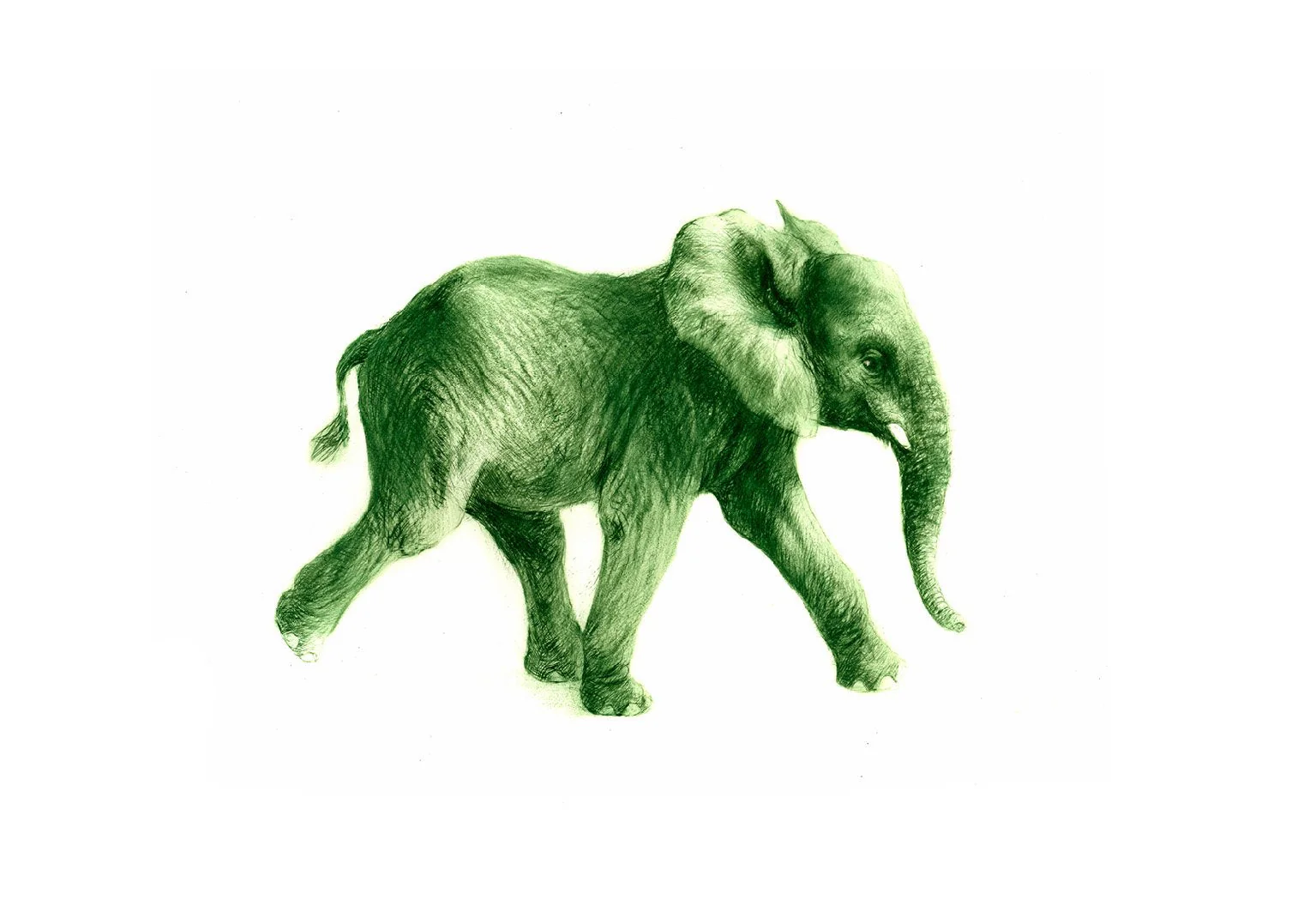 elefant copperprint